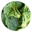 Broccoli Picture